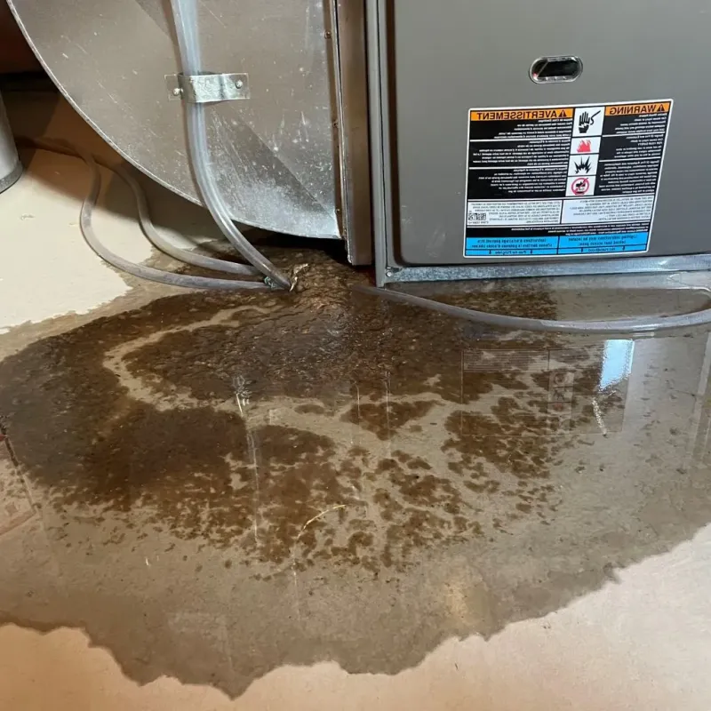 Pipe Burst and Leak Restoration in Oglala Lakota County, SD
